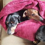 Jean Grass - @jeannegrass - Instagram