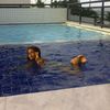 jeane oliveira - @jeannegrey - TikTok