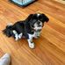 Jeanne Hampton - Facebook
