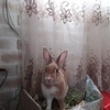Итати - @jeannehan0 - TikTok