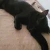 Jeannie Hare - @jeannie.hare4 - TikTok