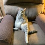Jeanne Hatcher - @jeannehatcher22 - Instagram