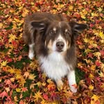 Jeanne Herbert - @jeherbert42 - Instagram
