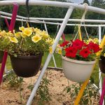 Jeanne Holman - @jeanneholman3 - Instagram