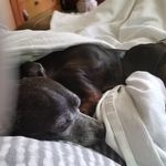 Jeannie Holman - @jeannie.holman.98 - Instagram