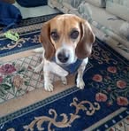 Jeanne Lance - Facebook