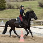 ✨jeanne•lance✨ - @les_poneys_et_moii - Instagram