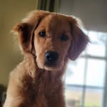 Jeanne Leary - @jeanneleary - Instagram