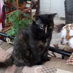 Jeanne Leclaire - @jeanne.leclaire.927 - Instagram