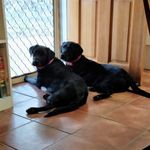 Jeanne MacKenzie - @jeanne.mackenzie.79 - Instagram