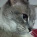 Jeanne Markham - Facebook