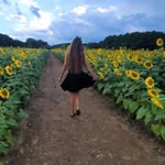 Jeanne Meadows - @beachday1966 - Instagram