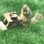Jeanne Meadows - @jmm612021 - Instagram