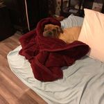 Jeanne Morrell - @jm0957 - Instagram
