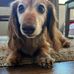 Jeanne Vasquez Morrell - Facebook
