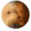 jeannepainter6 - @jeannepainter6 - TikTok