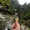 jeanne pea - @jeanne.pea - TikTok