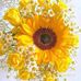 Jeannie Pettey Erickson - Facebook