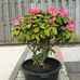 Jeanne De Pender - Facebook