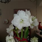 Jeanne Pender - Facebook