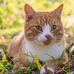Jeanne Perrin - Facebook