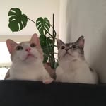 Jeanne Petersen - @jeanne.petersen.31392 - Instagram