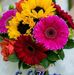 Jeanne Phipps - Facebook