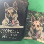 Jeanne Posner - @petpawtraits_by_jeanne - Instagram