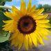 Jeanne Purdy - Facebook
