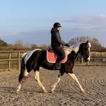 Jeanne - @jeanne.equit - Instagram