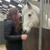 Jeanne - @jeannequit0 - TikTok