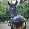 jeanneleca - @jeanneequit - TikTok