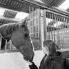 Le J - @jeanne.equit - TikTok
