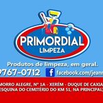 Jeanne Rosa Dos Reis - @primordiallimpeza2021 - Instagram