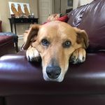 Nancy Schauer - @nancy_jeanne_schauer - Instagram