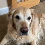 Jeanne Schell - @jeannelschell - Instagram