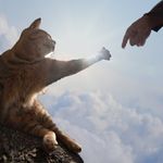 Jeanne Schultz - @weeklyodors.jeanne - Instagram