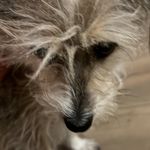 Jeanne Schultz - @jeanneschultz65 - Instagram