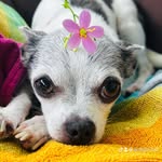 Jeanne Tainter Schulze - @jeanne_m_schulze - Instagram