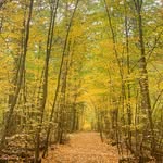 Jeanne Reilly Sharpe - @jeannesharpe - Instagram