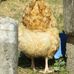 Jeanne Sharp - Facebook