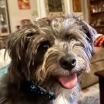 Jeanne Sharp Mitchell Smith - @jeannessmith - Instagram
