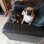 Jeanne Sheppard - @jeannesheppard73 - Instagram