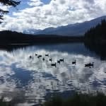 Jeanne Sheppard - @jeanne313318 - Instagram