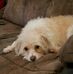 Jeanne Sheppard - Facebook