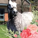 Jeanne Steenrod - @jeannesteenrod - Instagram