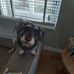 Jeanne Van der Steen - Facebook