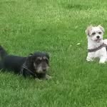 Jeanne Van der Steen - @jeannevandersteen - Instagram