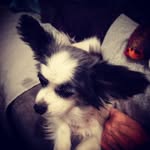 Jeanne Steinberg - @selirjo - Instagram