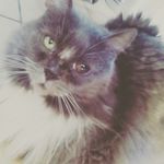 Jeanne - @jeanne._stern - Instagram